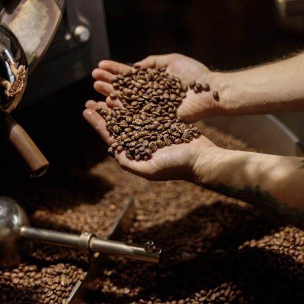 Male hands holding freshly roasted coffee beans